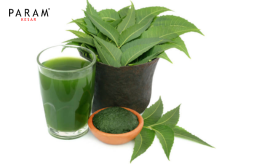 Neem Leaf Extract